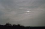 w-048-18_thumb.jpg 1.9K