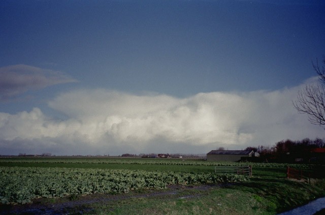 w-100-06.jpg 50.7K