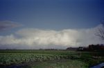 w-100-06_thumb.jpg 2.8K
