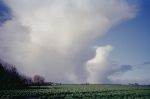 w-100-12_thumb.jpg 2.9K